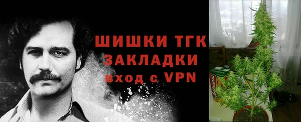 прущий лед Богданович