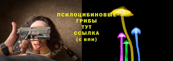 стафф Беломорск