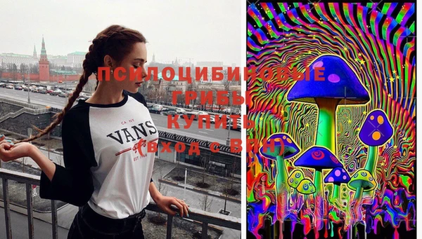 стафф Беломорск