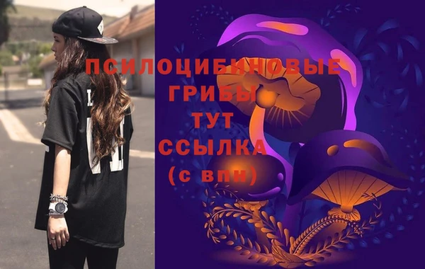 прущая мука Богородск
