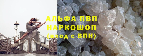 прущий лед Богданович