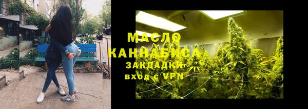 прущий лед Богданович